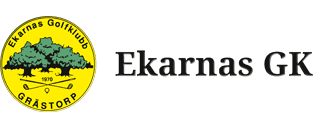 Tävlingssponsorlogotyp