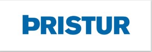 Þristur